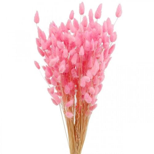 Lagurus Getrocknet Hasenschwanzgras Pink 65-70cm 100g