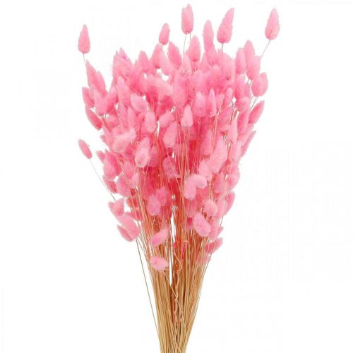 Artikel Lagurus Getrocknet Hasenschwanzgras Pink Deko Trockenblumen 65-70cm 100g