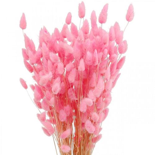 Artikel Lagurus Getrocknet Hasenschwanzgras Pink Deko Trockenblumen 65-70cm 100g