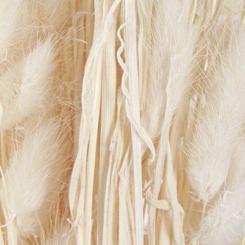 Floristik24 Trockenblumen Lagurus Natur – Flauschiges Hasenschwanzgras in Creme-Weiß 55-70cm 100g