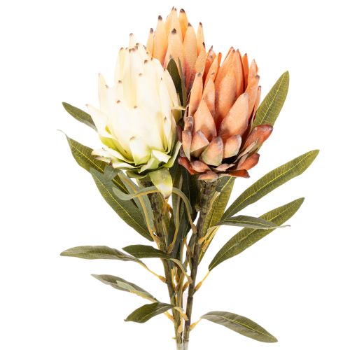 Künstliche Protea Leucadendron 65 cm Creme, Gelb und Orange 3 Stück