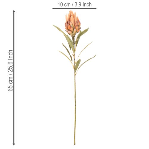 Künstliche Protea Leucadendron 65 cm Creme, Gelb und Orange 3 Stück | Floristik24.ch