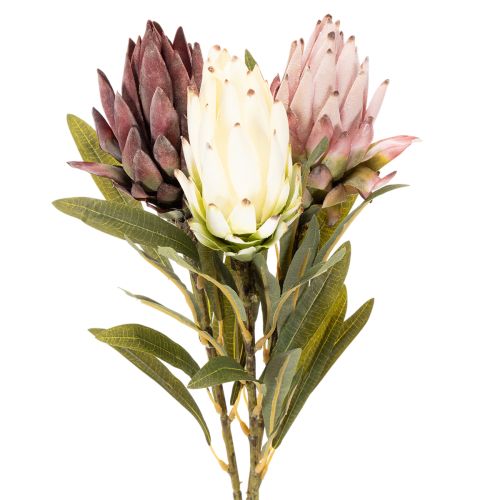 Protea Kunstblumen Set Leucadendron 100 cm 3-teilig Creme Bordeaux Rosa | Floristik24.ch