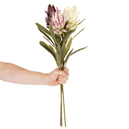 Protea Kunstblumen Set Leucadendron 100 cm 3-teilig Creme Bordeaux Rosa | Floristik24.ch