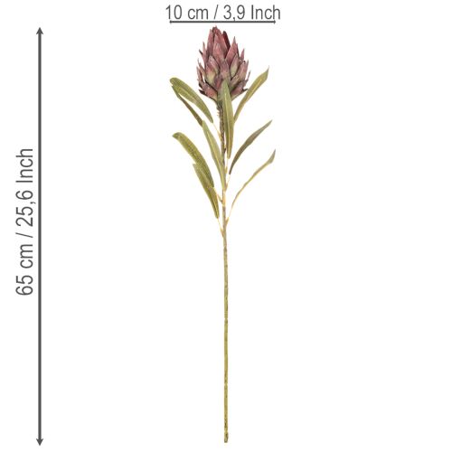 Protea Kunstblumen Set Leucadendron 100 cm 3-teilig Creme Bordeaux Rosa | Floristik24.ch