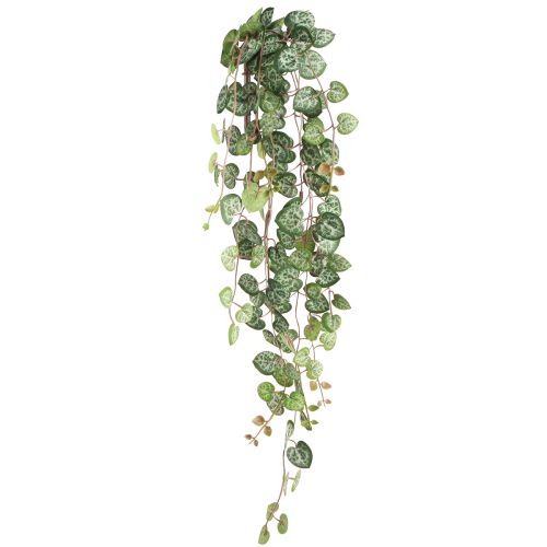 Floristik24 Leuchterblume Künstliche Zimmerpflanze Hängend 40cm 2St