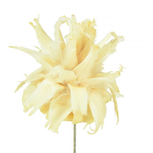 Artikel Leucodentron-Sortiment gebleicht am Draht 100St