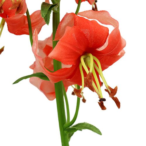 Floristik24 Lilie 87,5cm Lachs