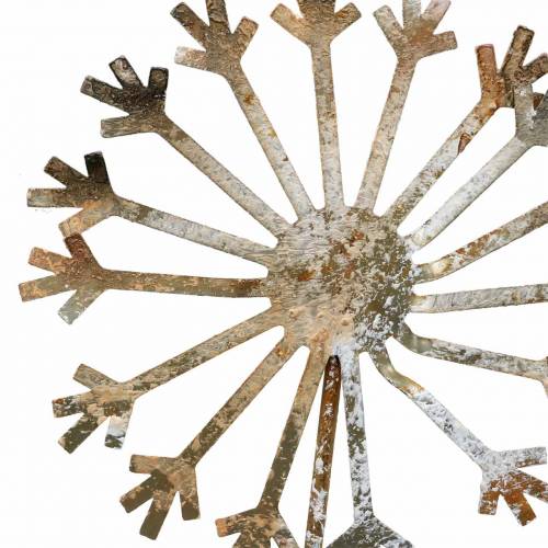 Floristik24 Gartenstecker Pusteblume Edelrost Metall Ø10 H49cm