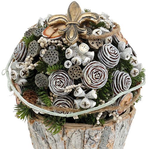 Floristik24 Lotos Kolben klein 100 St. Natur