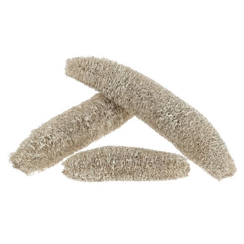 Luffa groß Weiß gewaschen 20 St