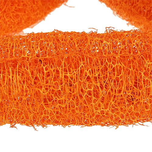 Artikel Luffa groß Orange 20 St