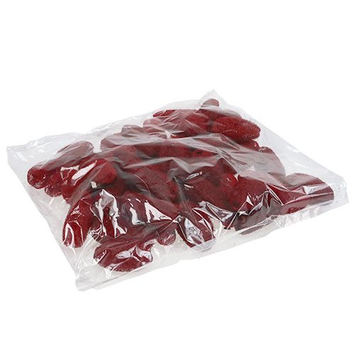 Artikel Luffa klein Rot 50 St