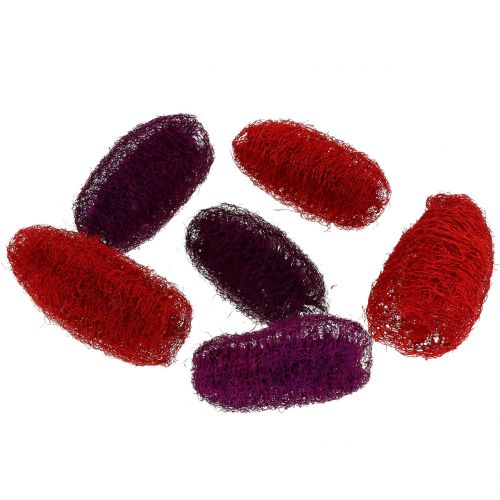 Floristik24 Luffa sortiert Violett, Weinrot 9cm – 12cm 50 St