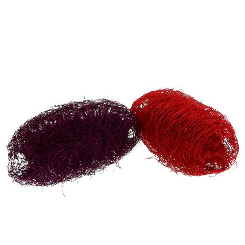 Floristik24 Luffa sortiert Violett, Weinrot 9cm – 12cm 50 St