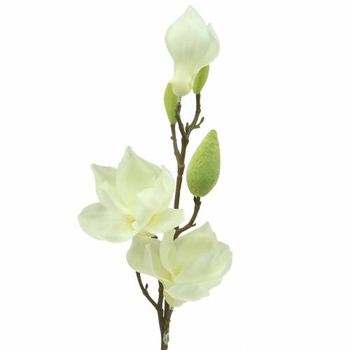 Floristik24 Magnolie Real Touch Weiß 70cm