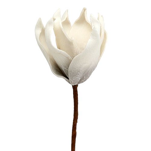 Floristik24 Magnolienblüte aus Foam Grau, Weiß Ø10cm L26cm 4St