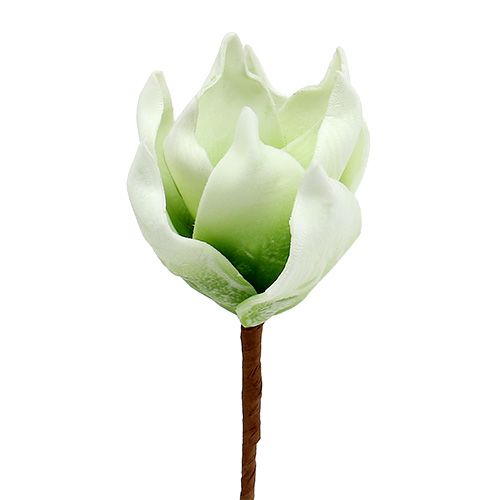 Floristik24 Magnolienblüte aus Foamstoff Weiß-Grün Ø10cm L26cm 4St