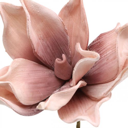 Floristik24 Künstliche Magnolie Altrosa Kunstblume Foam Blume Ø10cm 6St