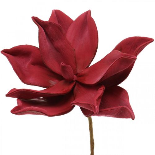 Floristik24 Künstliche Magnolie Rot Kunstblume Foam Blumendeko Ø10cm 6St