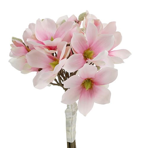 Magnolienbund Rosa 40cm 5St