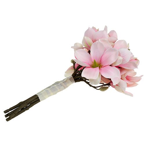 Floristik24 Magnolienbund Rosa 40cm 5St