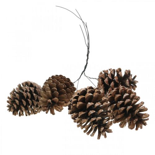 Floristik24 Maritimazapfen mit Draht, Gedenktage, Weihnachtsdeko, Naturprodukt H8–13cm Ø6–9cm 50St