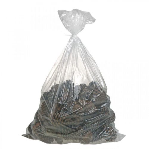 Floristik24 Maritima Zapfen, Trauerfloristik, Adventsdeko, Naturprodukt H12–15cm Ø6,5–10cm 50 St