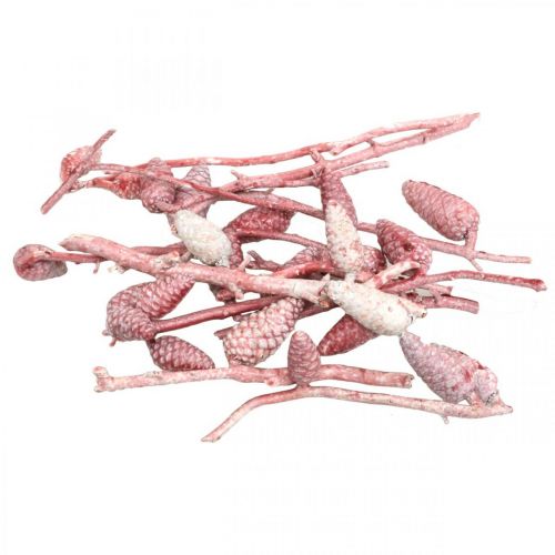 Floristik24 Maritimazapfen am Zweig Rosa/Weiß gewachst 400g