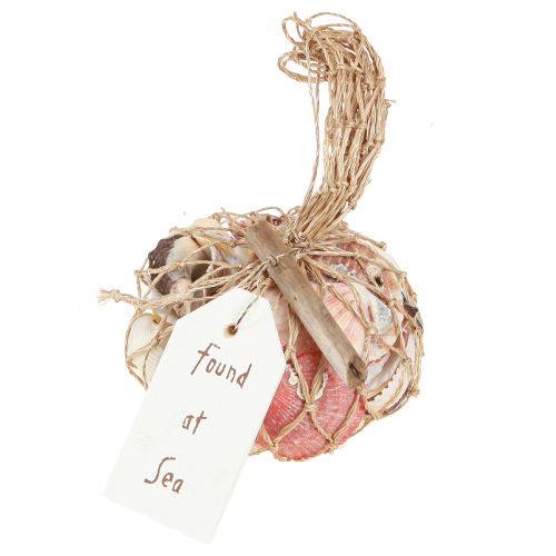 Maritime Deko Muscheln Mix im Netz Bunt 3,5-6cm 300g × 3St