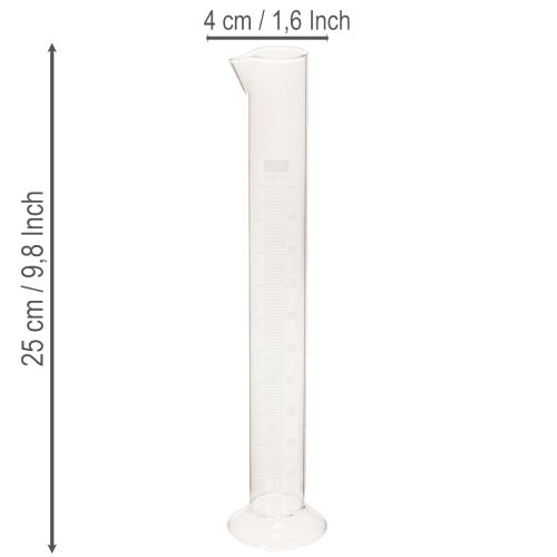 Messzylinder Glas mit Sockel und Skala 100 ml 25 cm Transparent | Floristik24.ch
