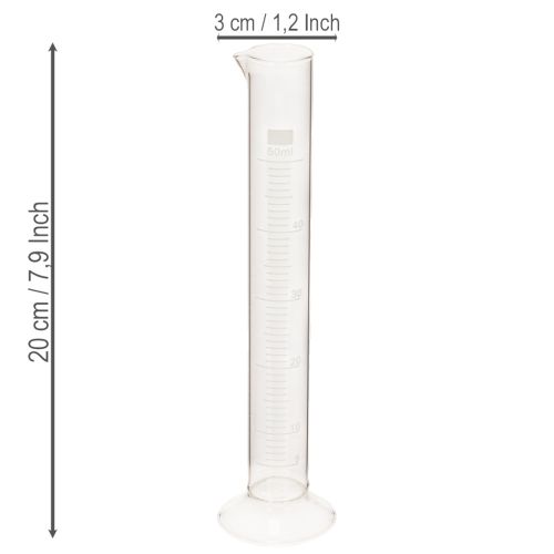 Messzylinder aus Glas mit Sockel 50 Milliliter 20 cm hoch | Floristik24.ch