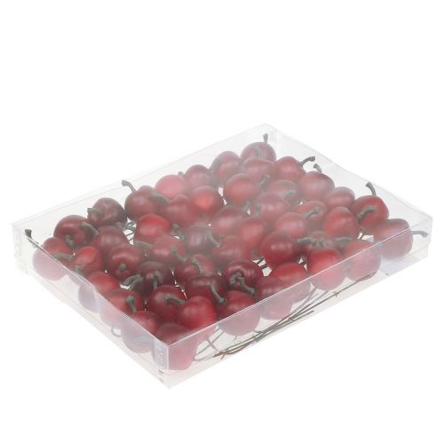 Floristik24 Mini Apfel am Draht Ø2,5cm 48 St