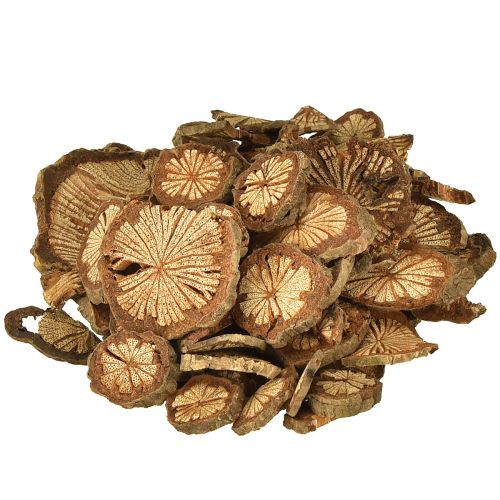 Mini Holzscheiben Betelnuss Deko mit Maserung 1-4,5cm 300g