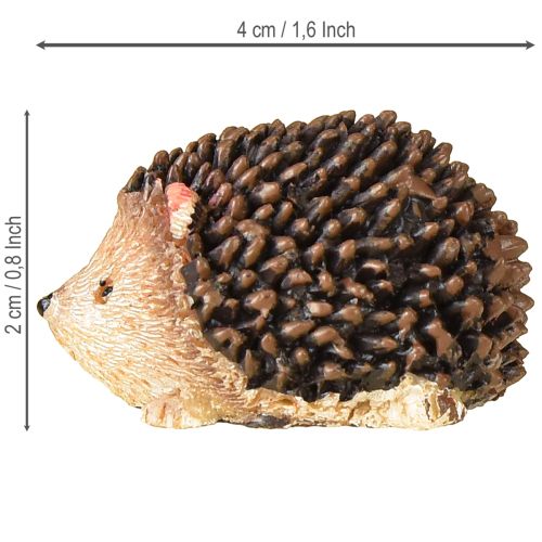 Floristik24 Mini Igel Deko Figuren Herbst Handbemalt 4×2,5×2cm 6 St