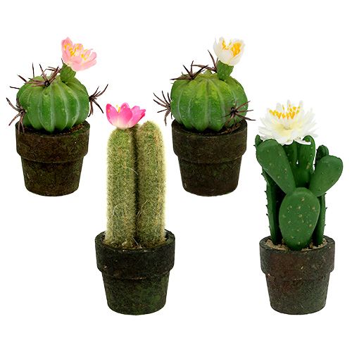 Mini Kaktus mit Blüten H9-12cm 4St-286159-42