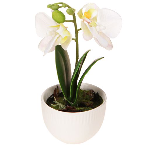 Artikel Mini Orchideen künstlich Weiße Orchideen im Topf 15cm