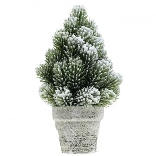 Floristik24 Mini Weihnachtsbaum im Topf Künstlich Beschneit Ø14cm H24cm