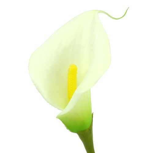 Floristik24 Mini Calla künstlich weiß L 28cm 12St