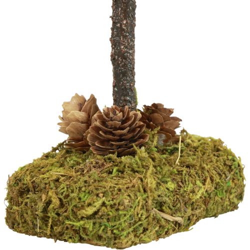 Floristik24 Mini Weihnachtsbaum Tischdeko Moosbaum H30,5cm