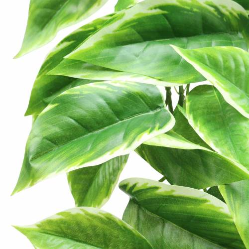 Floristik24 Weißrand-Funkie künstlich Grün, Weiß 100cm