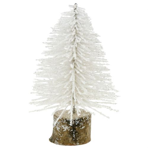 Floristik24 Mini-Weihnachtsbaum Weiß beglitzert 6St
