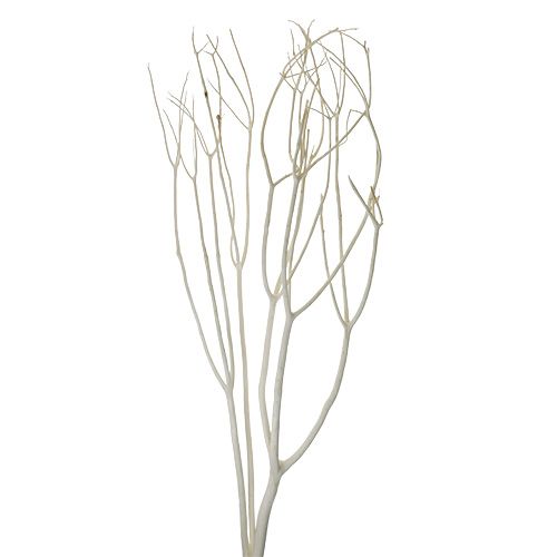 Floristik24 Mitsumata Deko Zweige 115cm gebleicht 3 St