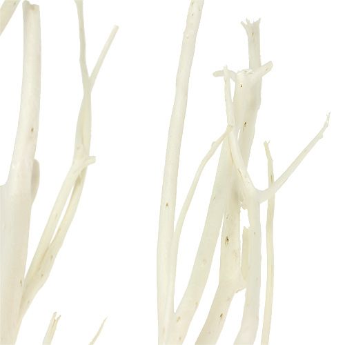 Artikel Mitsumata Zweige Weiß 34-60cm 12St