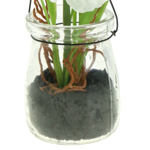 Artikel Mohnblume im Glas zum Hängen Weiß H22cm