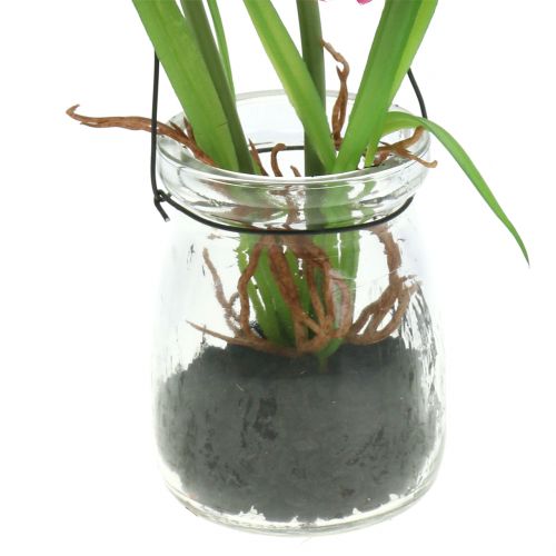 Floristik24 Mohnblume im Glas zum Hängen Pink H22cm