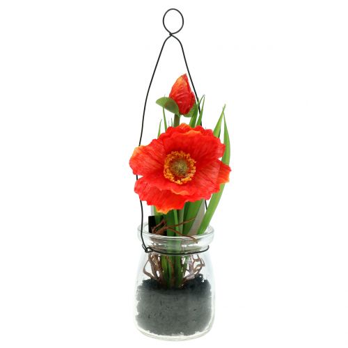 Floristik24 Mohn Orange im Glas zum Hängen H22cm