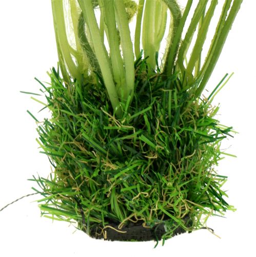 Artikel Mohn Weiß im Gras 23cm