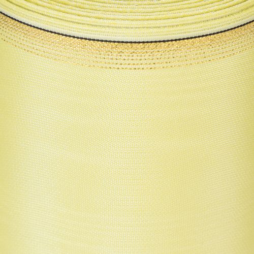 Moiré Kranzband Hellgrün mit Goldrand 175mm x 25m, Hochwertige Dekoration für Floristik | Floristik24.ch