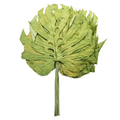 Artikel Dekorative Monstera-Blätter für Boho- und Urban-Jungle-Dekoration